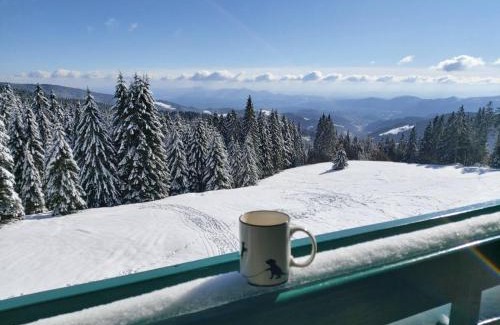 Paka Apartment | Apartma Bellevue Rogla