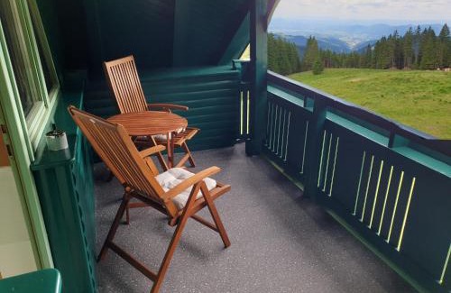 Paka Apartment | Apartma Bellevue Rogla