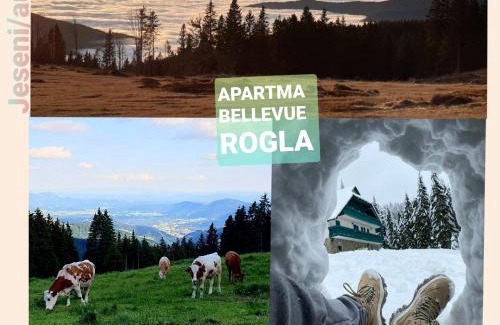 Paka Apartment | Apartma Bellevue Rogla