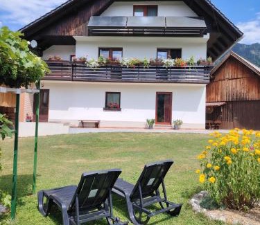 Bohinj Apartment | Apartma in soba pri Bregarju