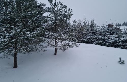 Dravograd Apartment | Apartma Juteršek