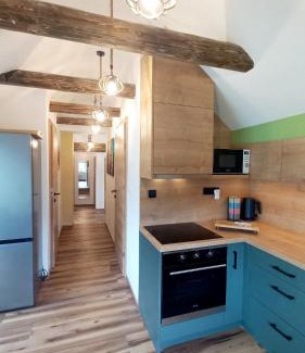 Mojstrana Apartment | Apartma Rožle