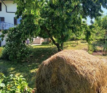 Miren-Kostanjevica House | Apartma Rosemarin