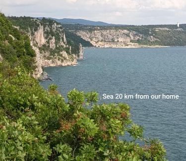 Miren-Kostanjevica House | Apartma Rosemarin