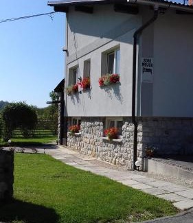 Trzic House | Apartmaji Mojca