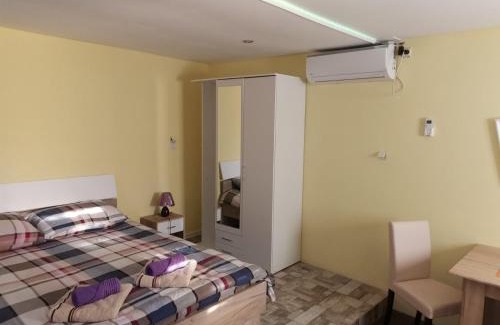 Vrdnik Apartment | Apartman Andjela 2