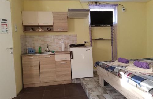 Vrdnik Apartment | Apartman Andjela 2