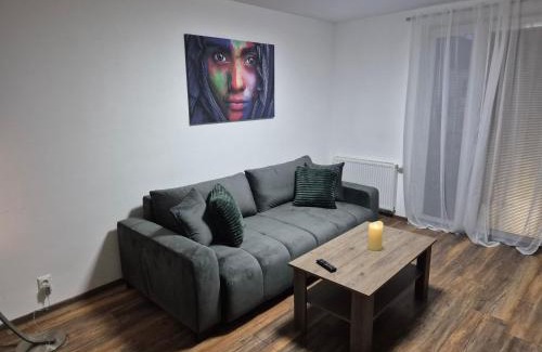 Juh Apartment | Apartman Centrum Mudronova