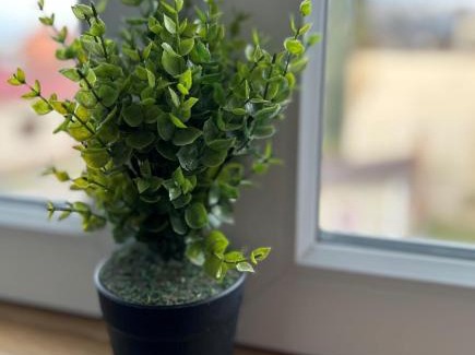 Popovaca Apartment | Apartman 'City View' Popovača