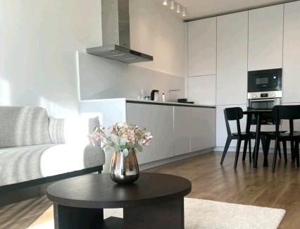 Kosice Old Town Apartment | Apartmán IMAN with privat garage parking free, 5 minute walk to the center