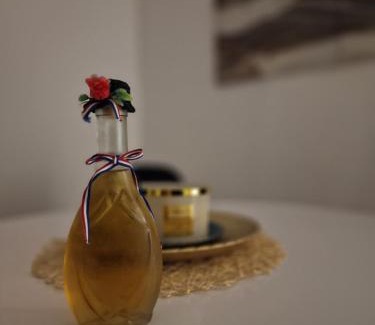 Slavonski Brod Apartment | Apartman Relax