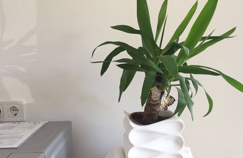 Tuhelj Apartment | apartmani Biser (tri moderna apartmana)