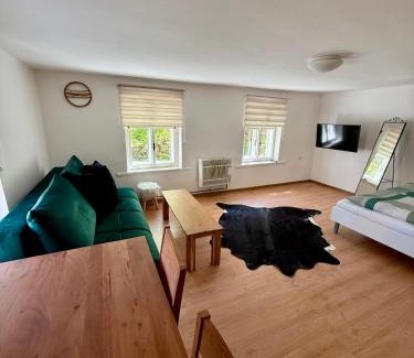 Javornik Apartment | ApartmanZ