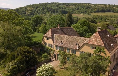 Boersch Apartment | Apartment 1499