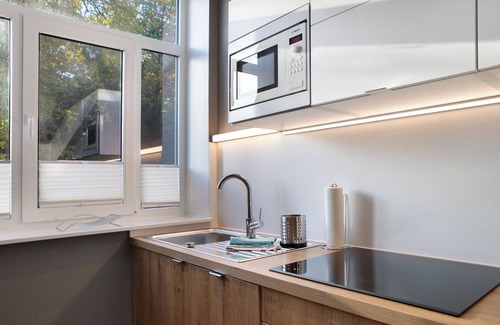 Masserberg Apartment | Apartment '20' with Mountain View, Shared Terrace and Wi-Fi