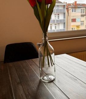 Lehen Apartment | Apartment 24 im Lehenviertel