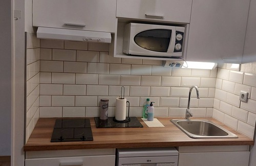 Bourbonne-les-Bains House | Apartment 300m from the center