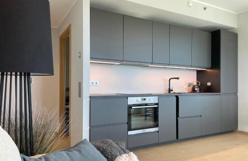 Kristiine Apartment | Apartment 58 Tallinn