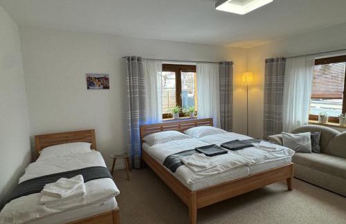 Frantiskovy Lazne Apartment | Apartment 73