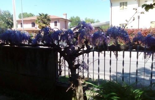 Noventa di Piave Apartment | Apartment 75 sqm first floor garden 1-9 people Noventa di Piave VENICE