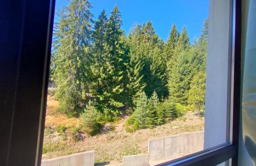 Smolyan Apartment | Apartment B34, complex Sokolitsite