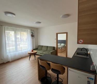 Presov Apartment | Apartment Bayerova