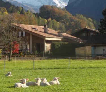 Wilderswil Apartment | Apartment Beck