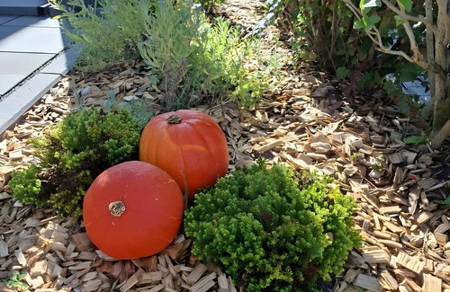 Sankt Georgen im Schwarzwald Apartment | Apartment 'Bei Tanja Und Marcus' with Private Terrace, Private Garden and Wi-Fi