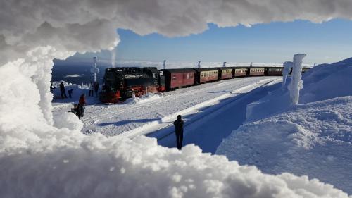 Schierke Apartment | Apartment Bodeweg