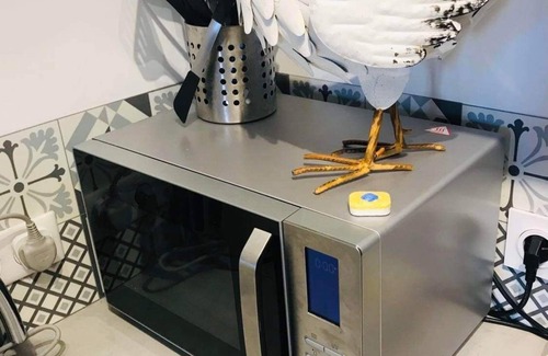 Mirepoix House | Apartment centre de Mirepoix