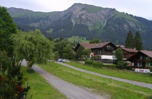 Lenk Apartment | Apartment Däpp # 2 by Interhome