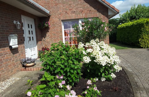 Konigsfeld Apartment | Apartment in the heart of Mecklenburg between meadows, forests and lakes