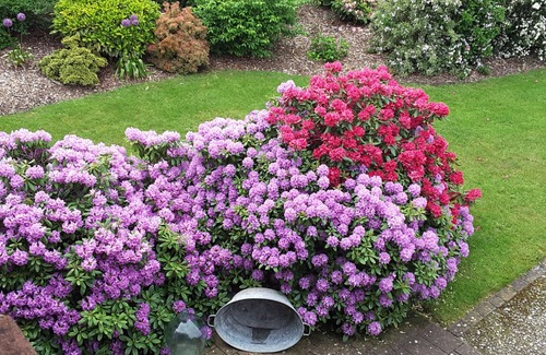 Konigsfeld Apartment | Apartment in the heart of Mecklenburg between meadows, forests and lakes