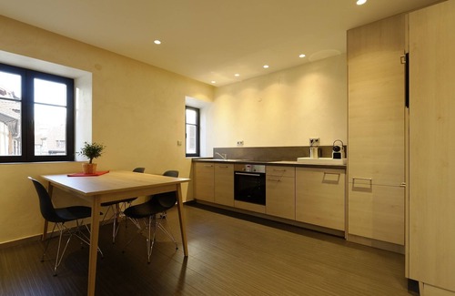 Ribeauville Apartment | Apartment-Deluxe-Ensuite with Shower-Terrace