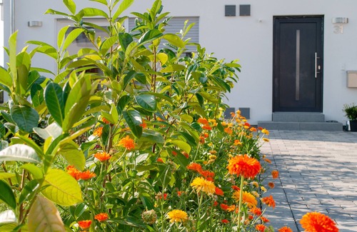 Tettnang Apartment | Apartment Elena - My Home is your Castle