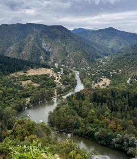 Borjomi House | Apartment Erekle