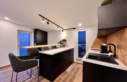 Bad Lausick Apartment | Apartment 'Fewo Im Taubenhaus' with Private Terrace, Wi-Fi and Air Conditioning