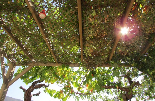 Alata House | Apartment/flat - Alata