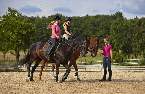 Igersheim Apartment | Apartment foresight for 1-2 people with walk-in shower