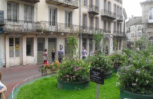 Plombieres-les-Bains Apartment | Apartment in the center of Plombieres les Bains