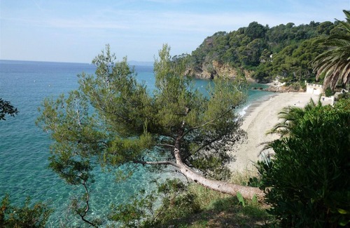 Le Rayol Apartment | Apartment with terrace and sea view near Rayol Beach