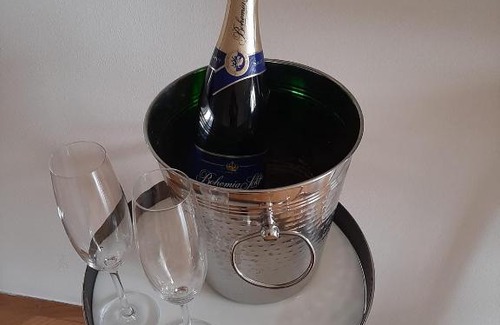 Hradec Kralove Apartment | Apartment Grossman