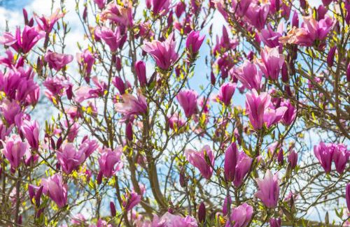 Graefenberg Apartment | Apartment-Haus Gundelfinger