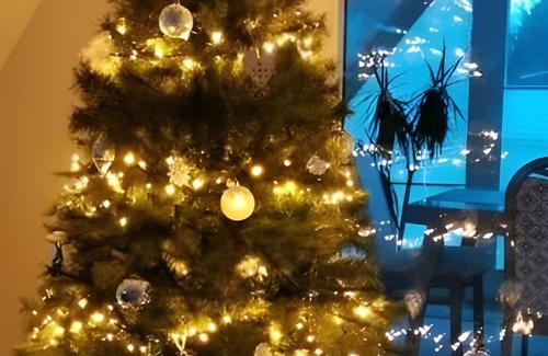 Ponitz Apartment | Apartment 'Heimat' with Private Terrace, Shared Garden and Wi-Fi