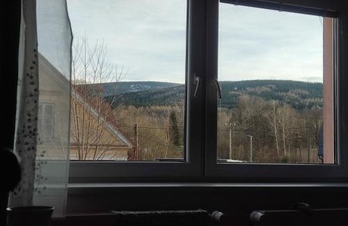 Nove Mesto pod Smrkem Apartment | Apartment in blossom garden