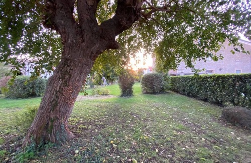 San Martino Buon Albergo Apartment | Apartment in Cathedral