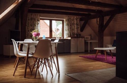 Ostrowice Apartment | Apartment in Gronowo near Lake Siecino