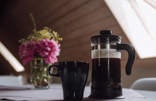 Ostrowice Apartment | Apartment in Gronowo near Lake Siecino