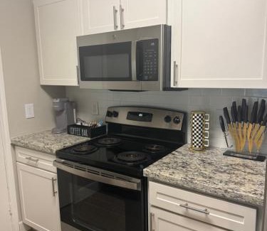 Astrodome Apartment | Apartment in Houston near NRG with Free Parking