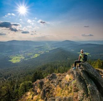 Lam Apartment | Apartment in Lam - Bayerischer Wald 50007